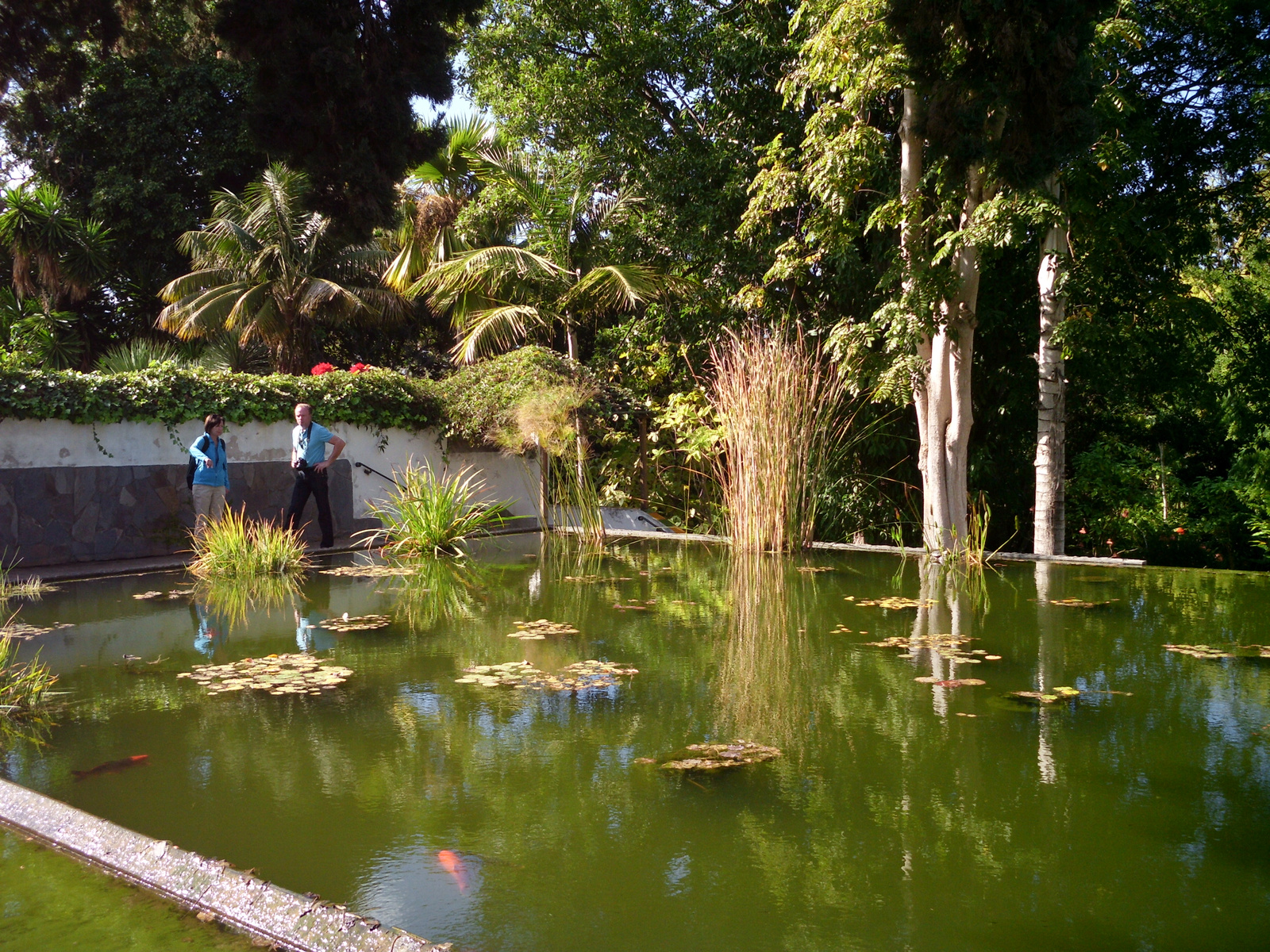 Pto Cruz arborétum