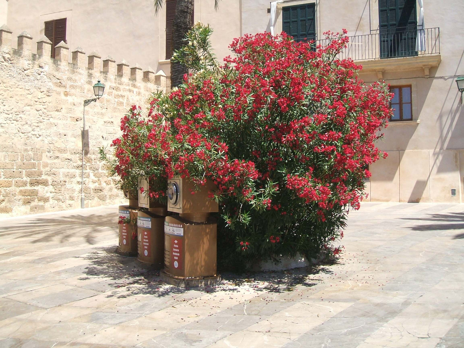 Palma de Mallorca