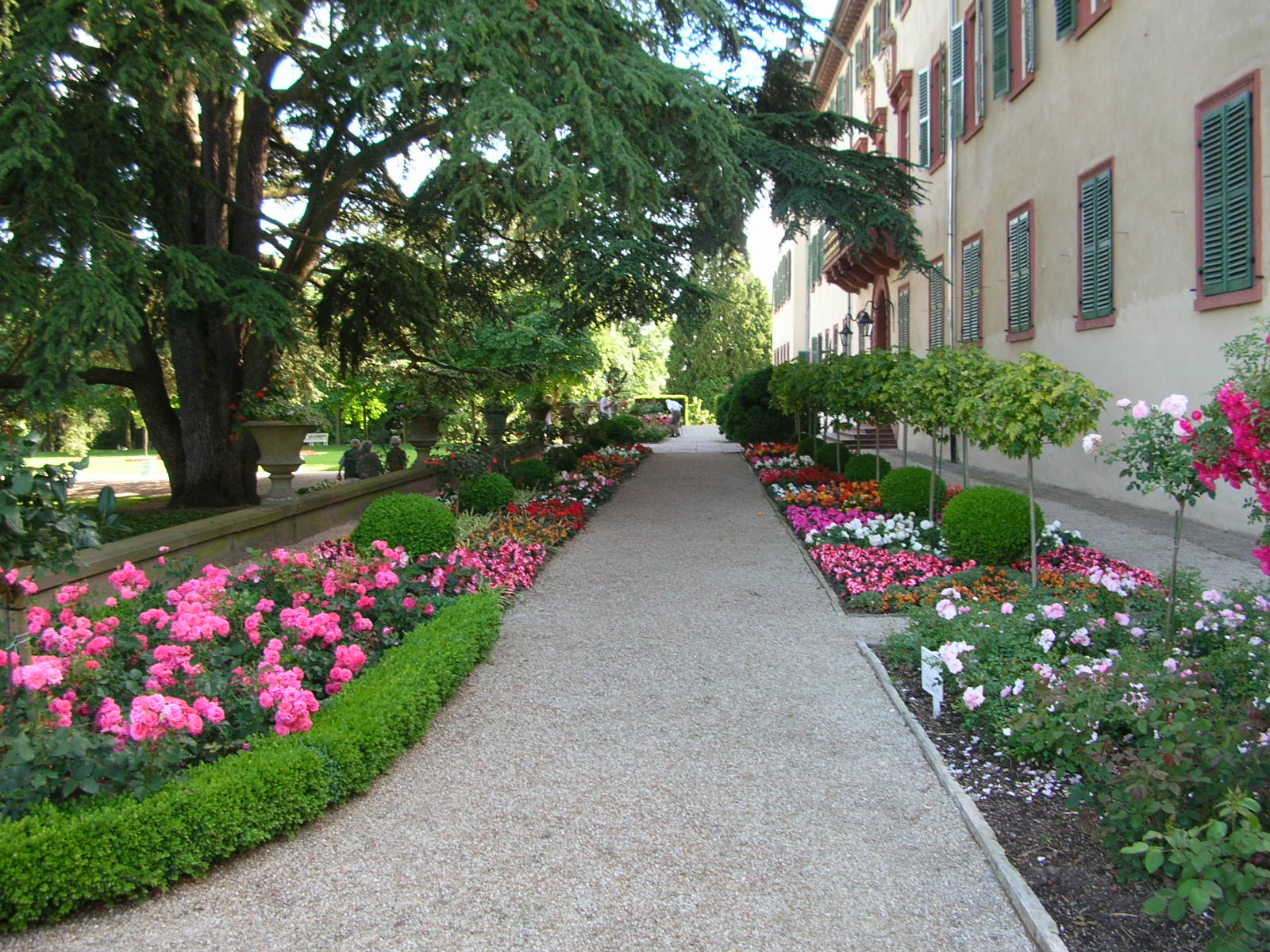 Bad Homburg Kurpark 21