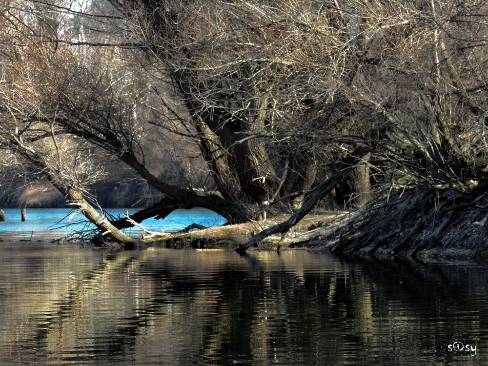 Tavasz első pillanata