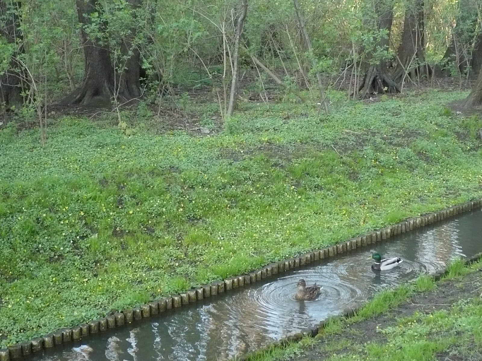 A sok szép park egyikében...