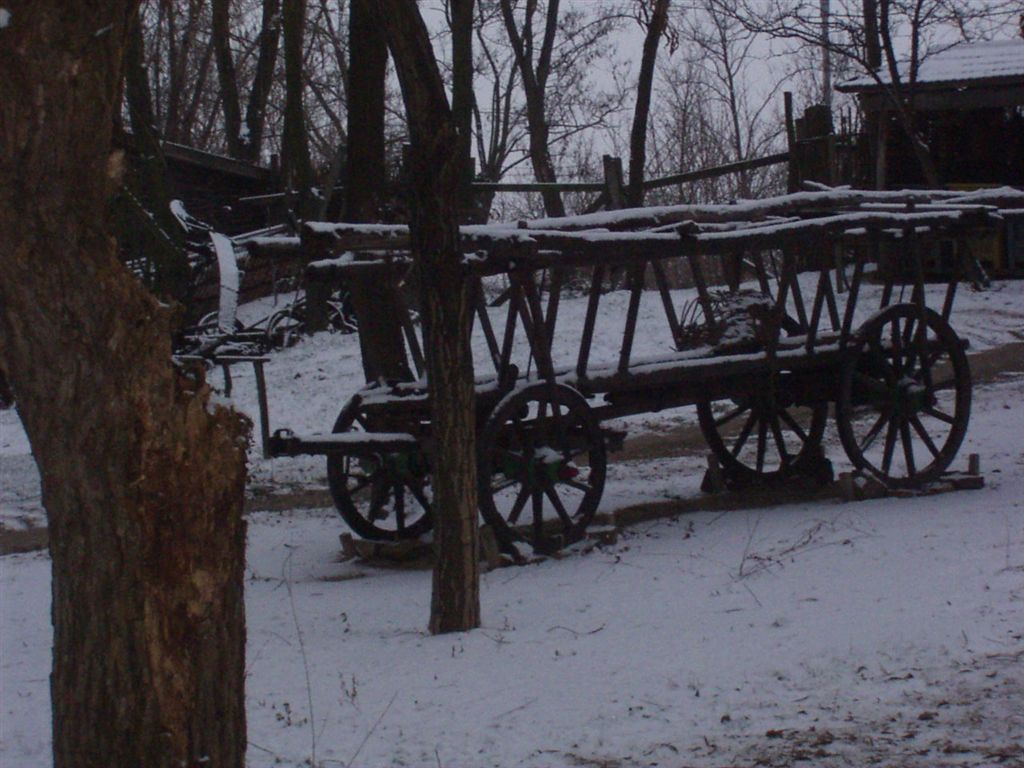 teli skanzen 2