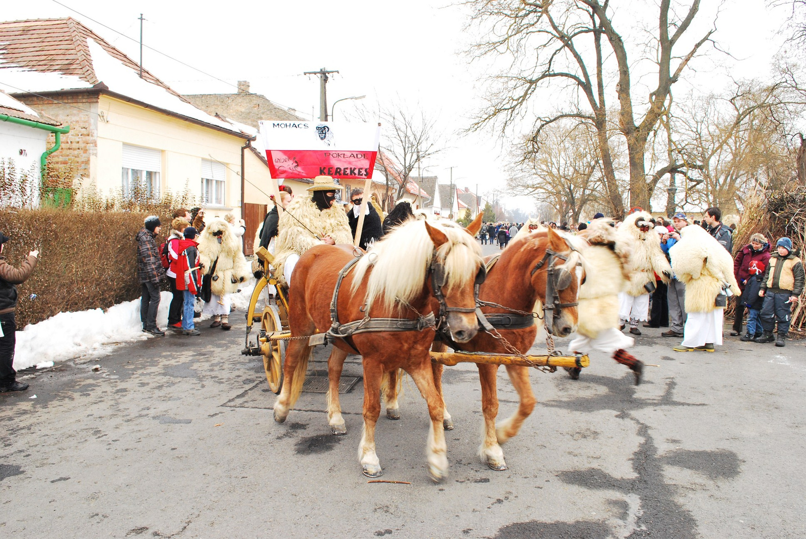 DSC 1253 (Másolás)