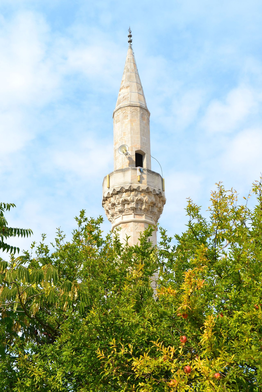 040 Minaret gránátalmával