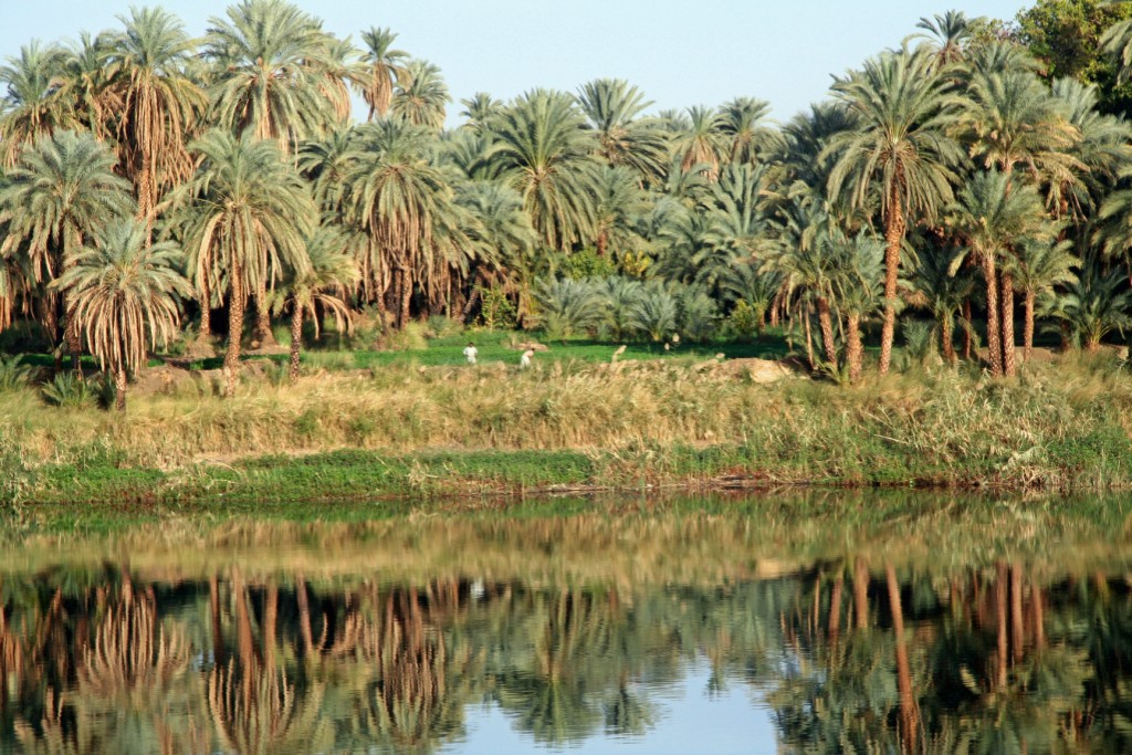 Földművesek a Nílus partján