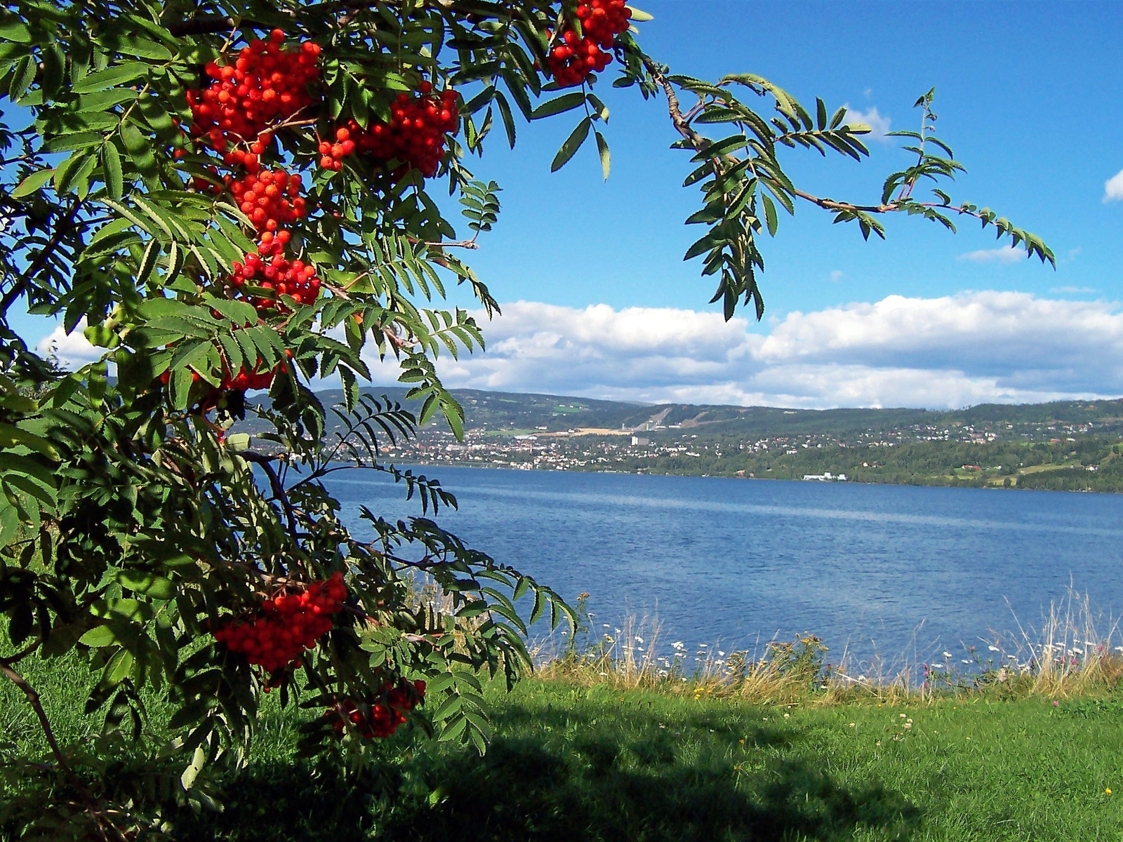 Mjøsa