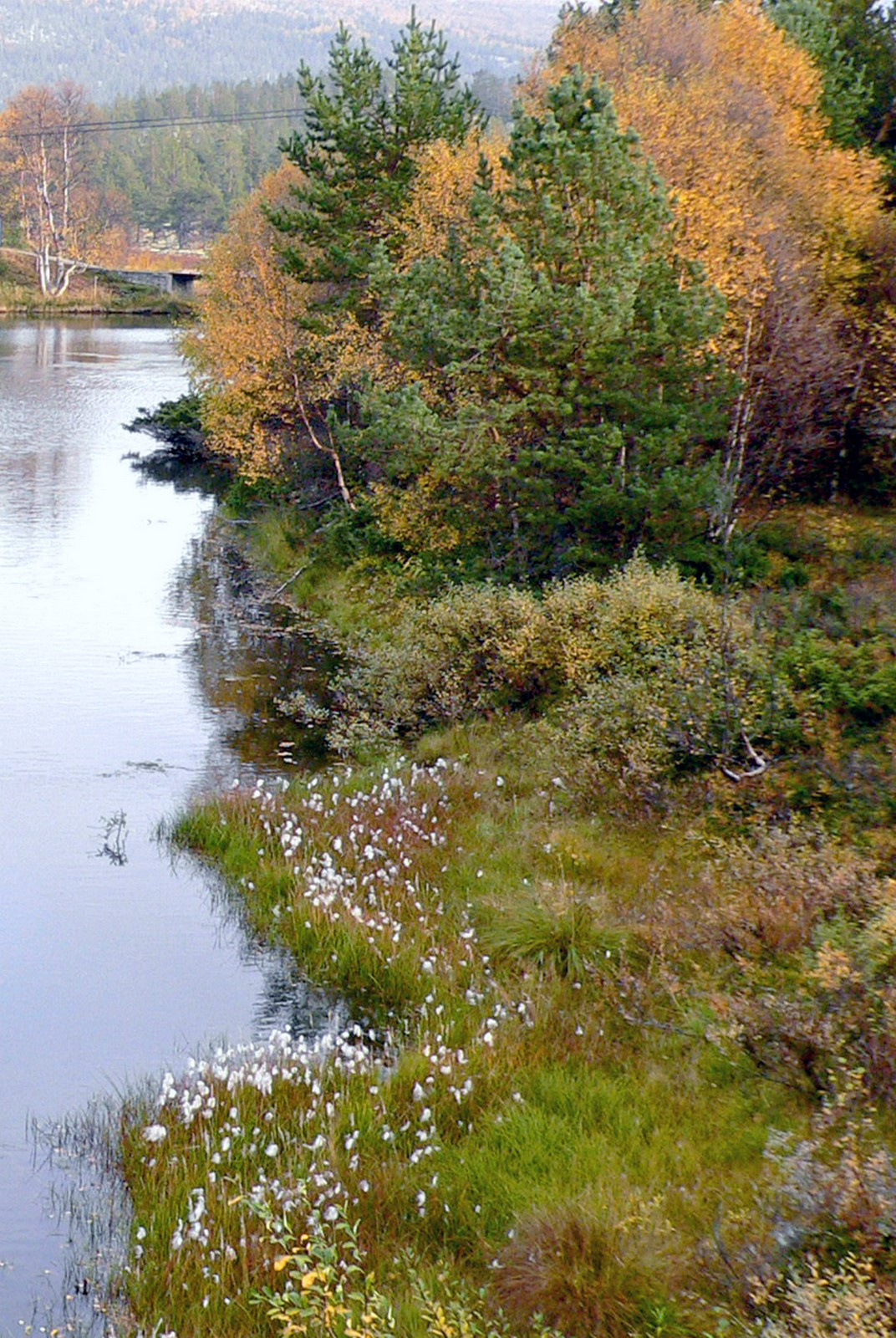 Rondane