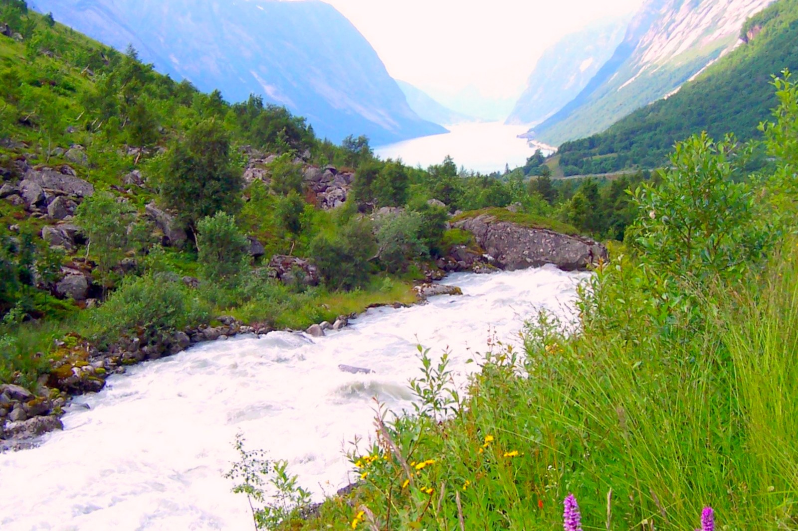 Patak és fjord