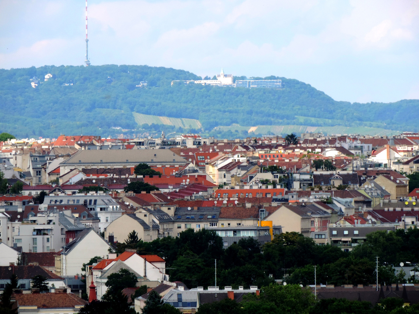 Bécsi panoráma.