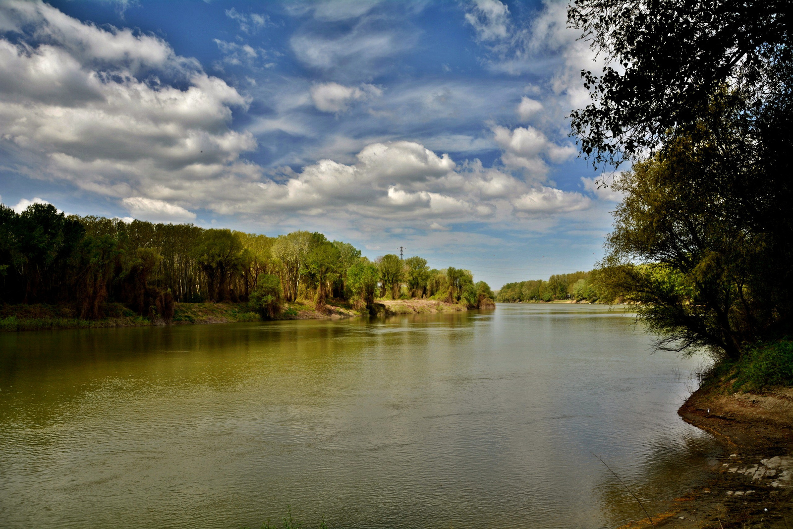 Tisza