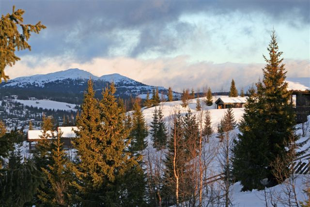 Skjena fjellet