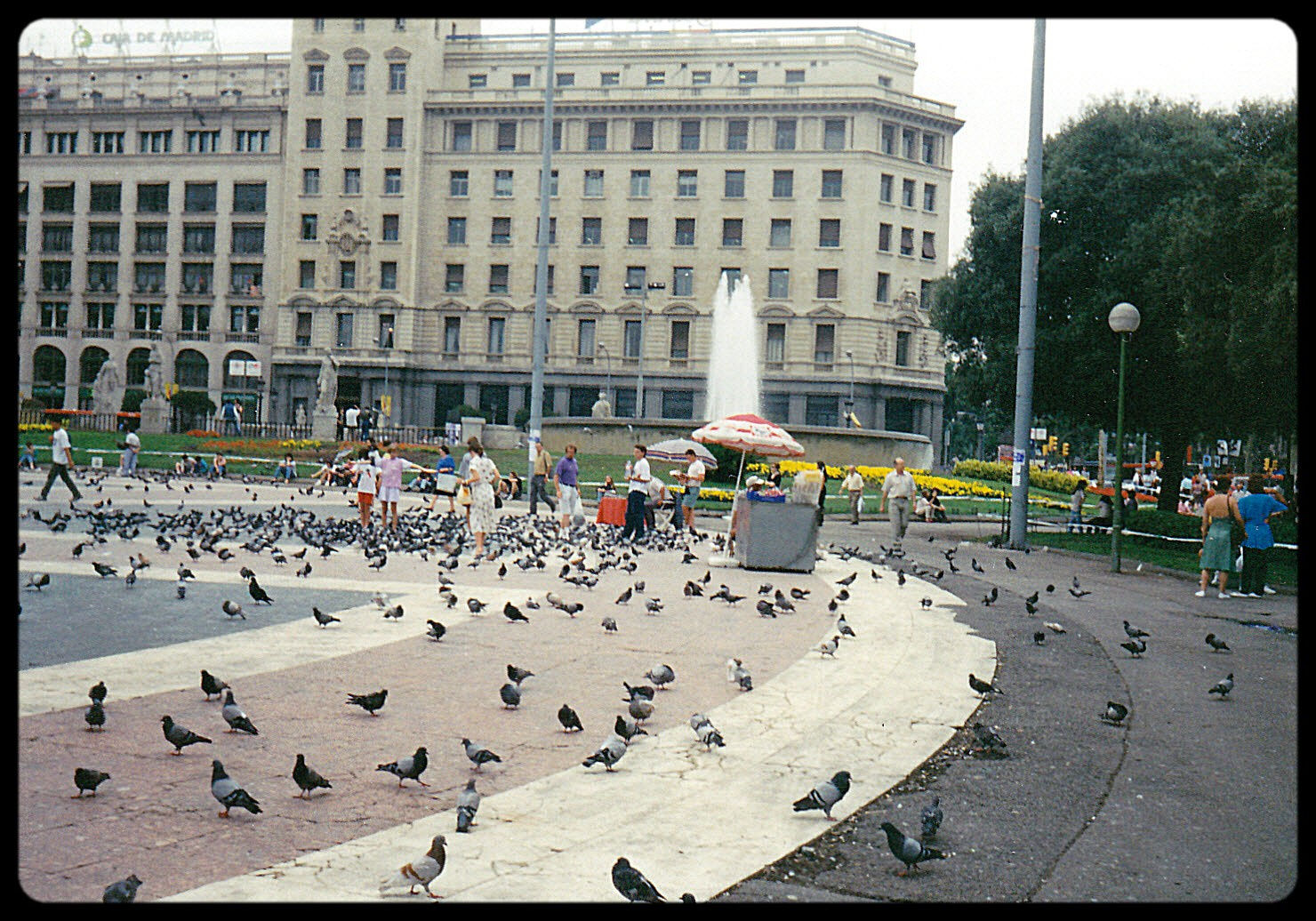 Barcelona galambokkal
