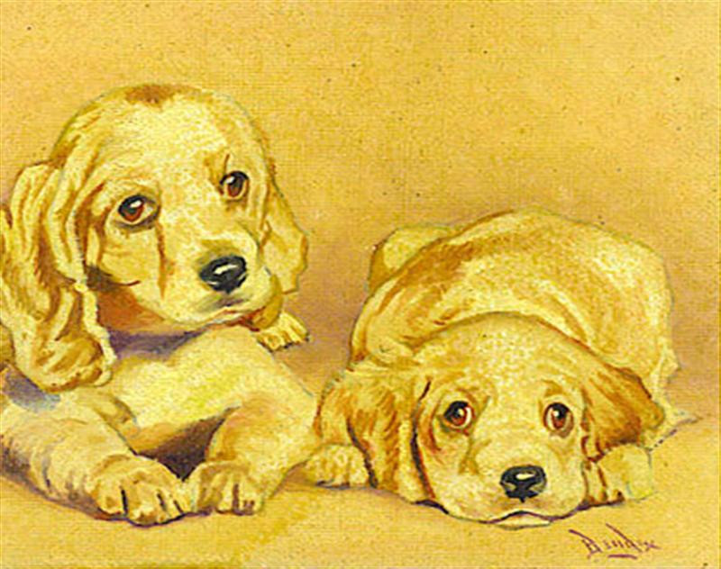 puppies (Medium)