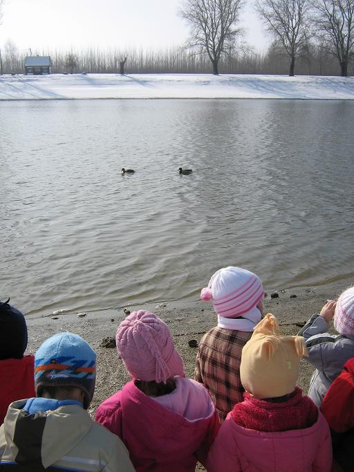 2010.02.17. vadkacsanézőben 004