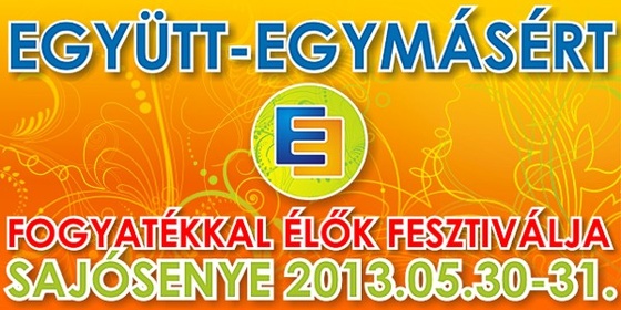 ee2013-fej2