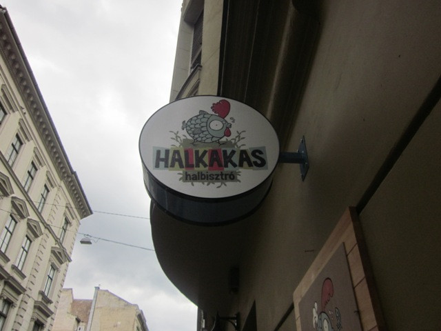 Hal, Larus, Sopron 001