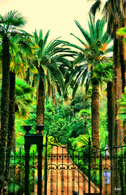 Granada, Alhambra 480 HDR1