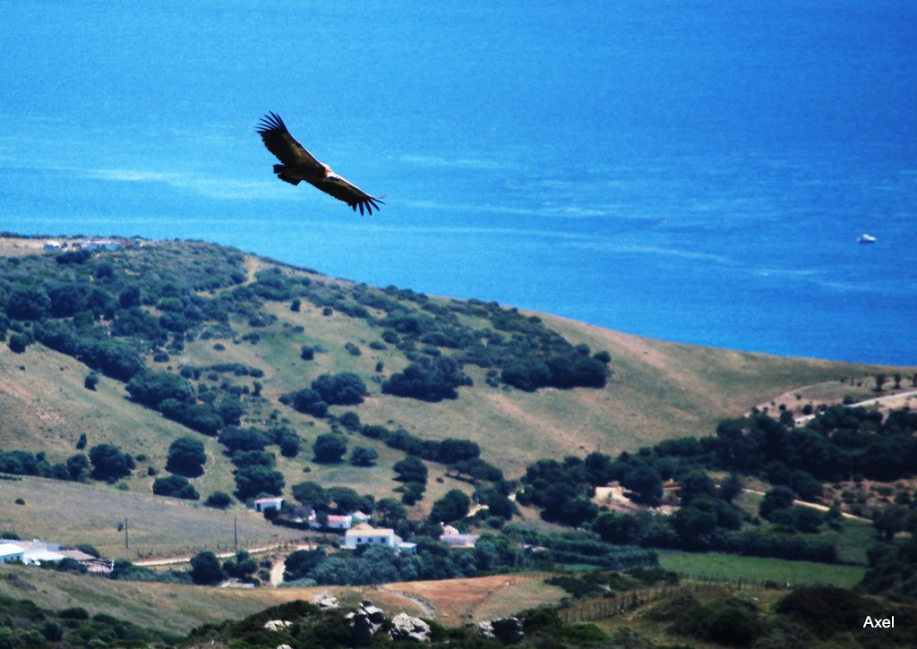 Tarifa 022