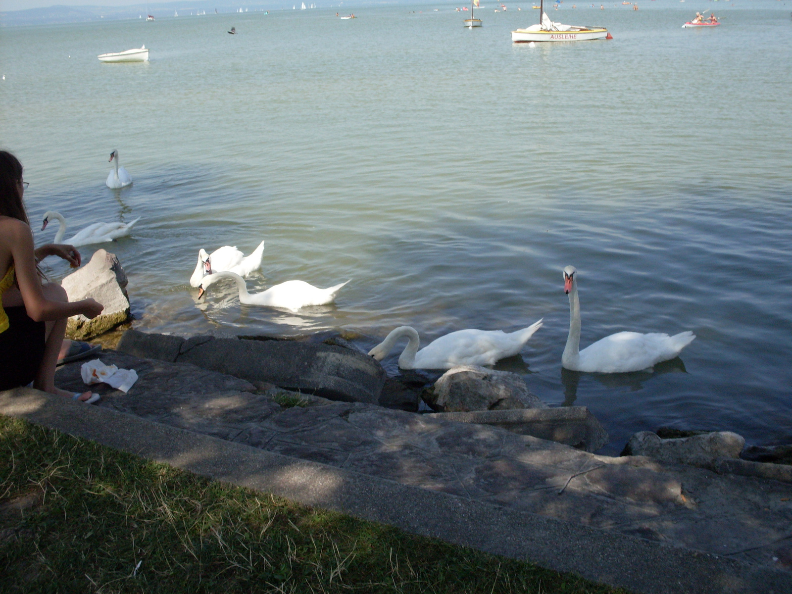 Balaton