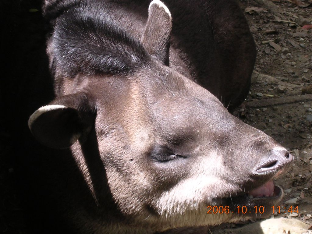 108 Mérida - Parque Zoológico Chorros de Milla