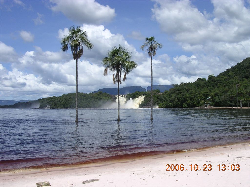 386 Canaima