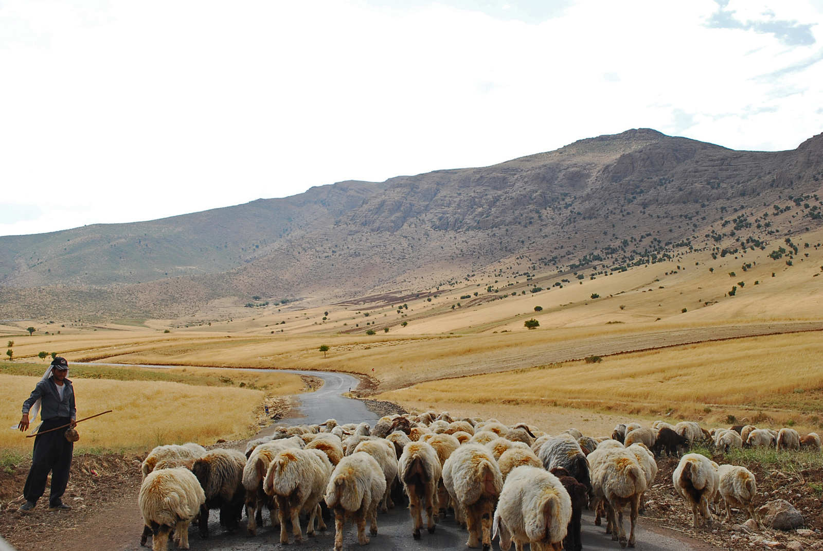 Irán 1021 Bisheh és Khorram Abad között