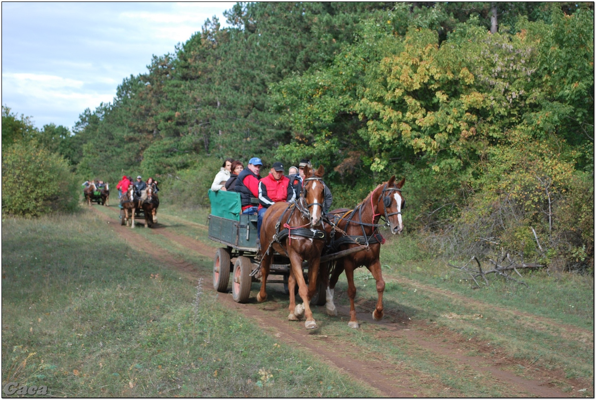 vadaszlovaglaslovasnemesvamosgaca2011fotomagyarorszaghungary0000