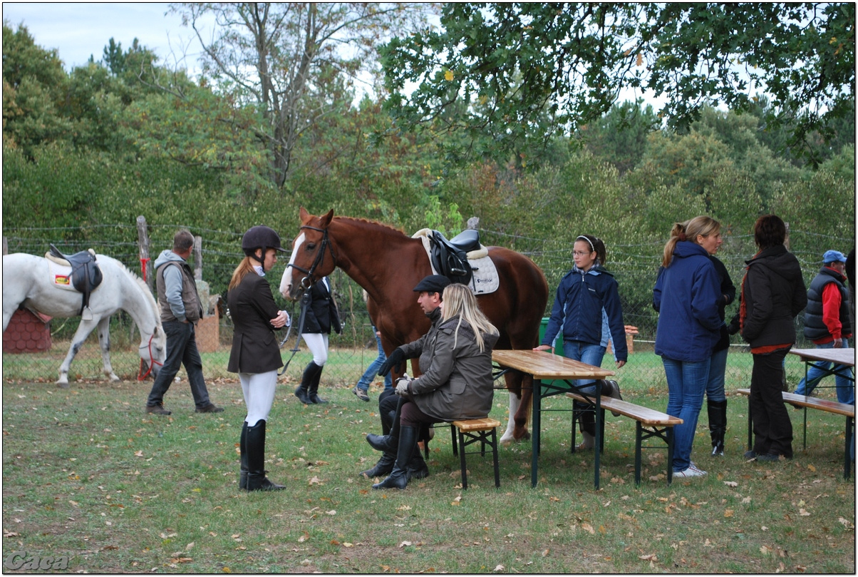 vadaszlovaglaslovasnemesvamosgaca2011fotomagyarorszaghungary0026