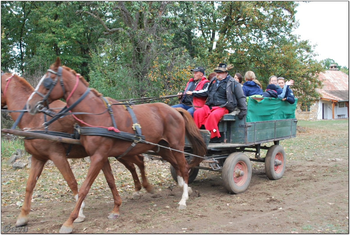 vadaszlovaglaslovasnemesvamosgaca2011fotomagyarorszaghungary0032