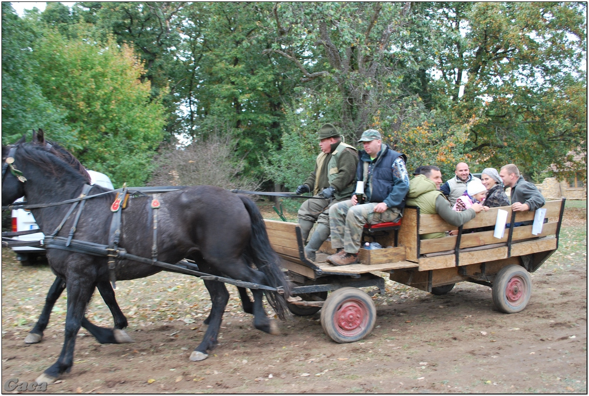 vadaszlovaglaslovasnemesvamosgaca2011fotomagyarorszaghungary0034