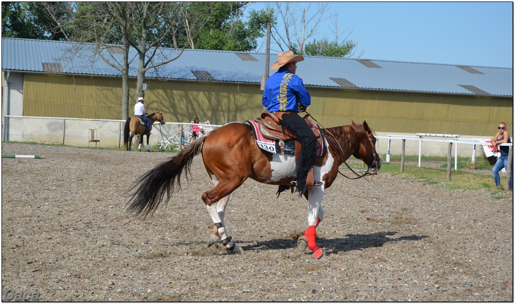 westernlovasversenykunosgaca201300008