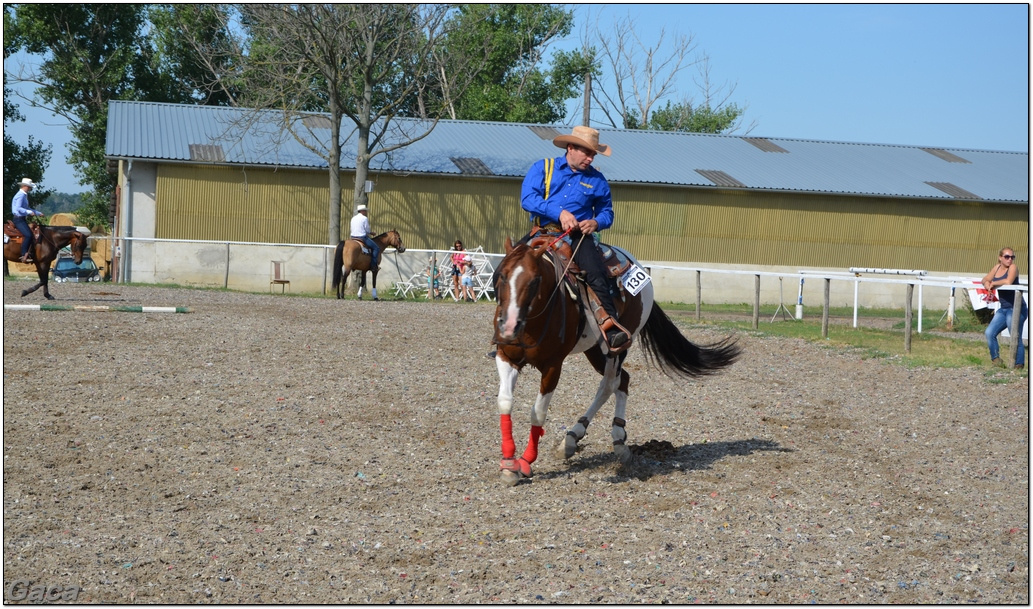 westernlovasversenykunosgaca201300009