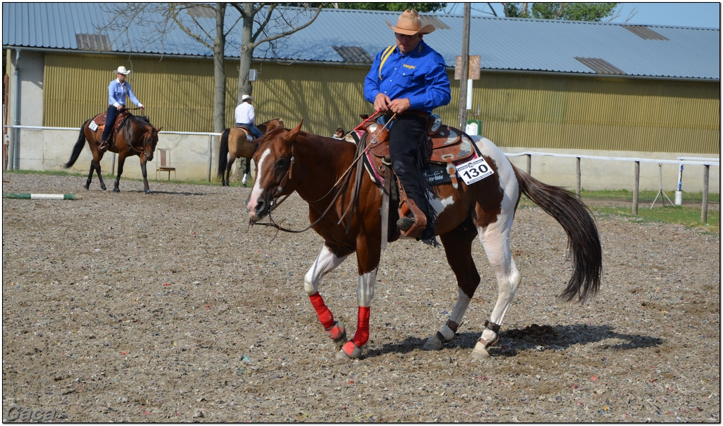 westernlovasversenykunosgaca201300010