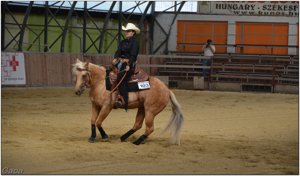 westernlovasversenykunosgaca201300018