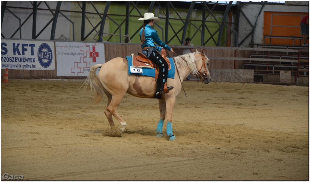 westernlovasversenykunosgaca201300021