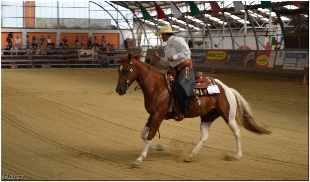 westernlovasversenykunosgaca201300033