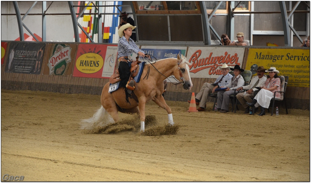 westernlovasversenykunosgaca201300056