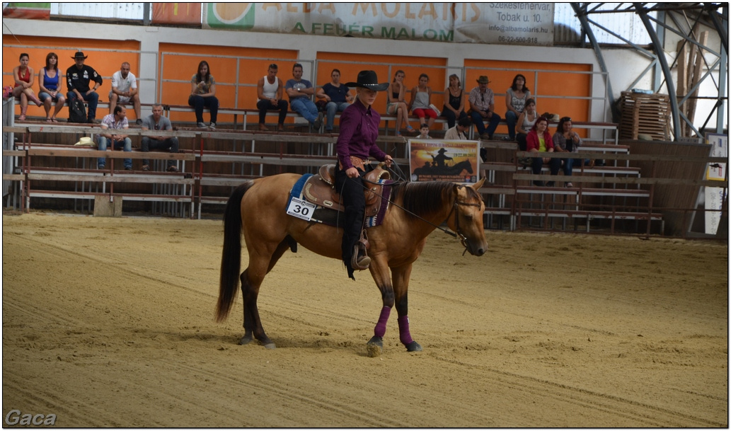 westernlovasversenykunosgaca201300063