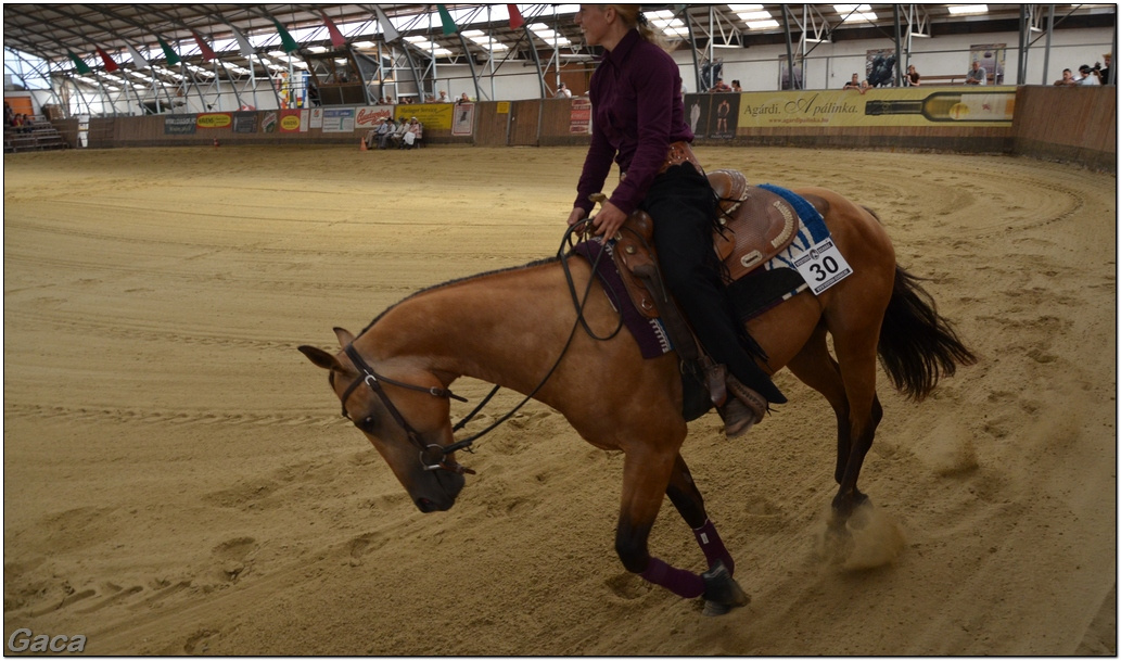 westernlovasversenykunosgaca201300070