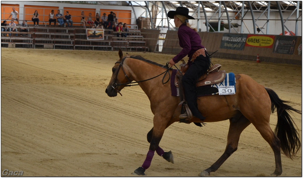 westernlovasversenykunosgaca201300071