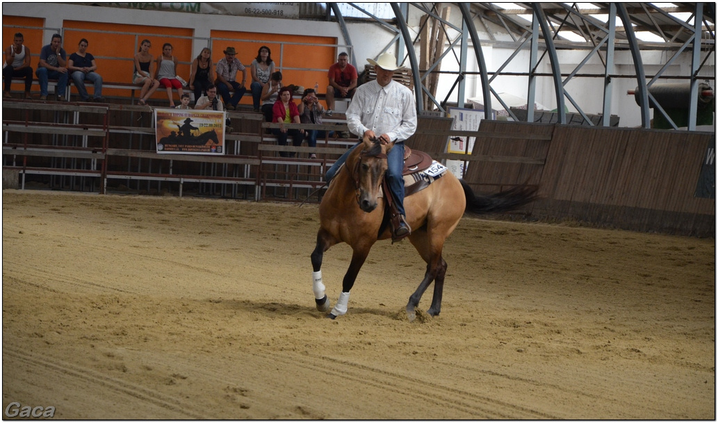 westernlovasversenykunosgaca201300084