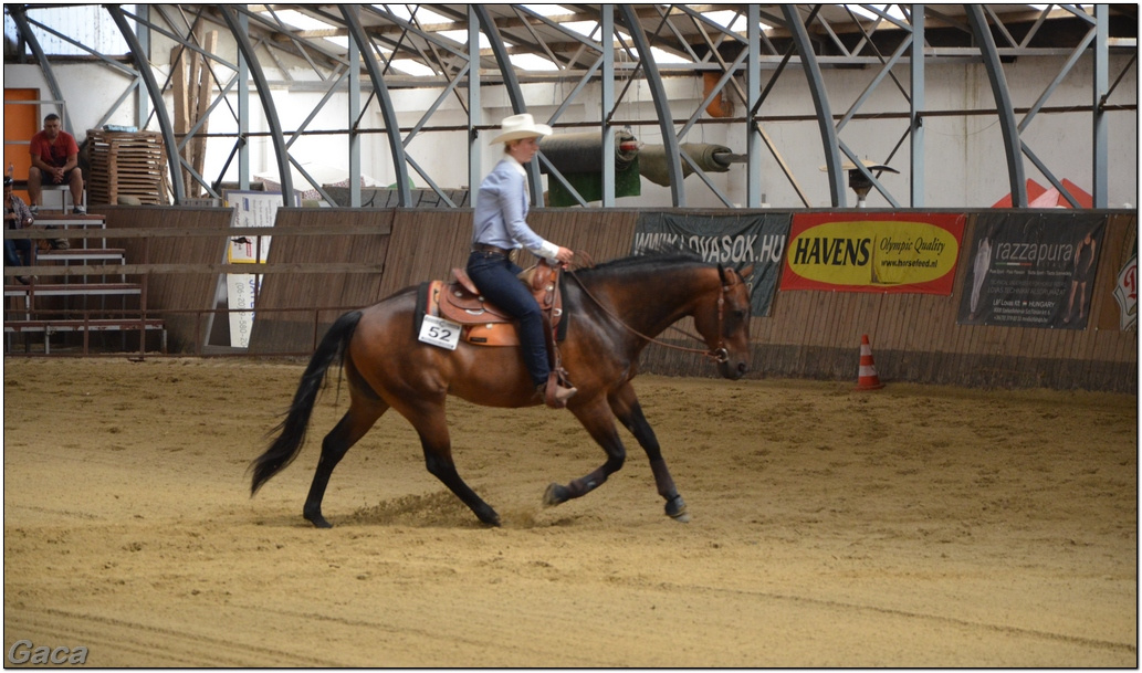 westernlovasversenykunosgaca201300097