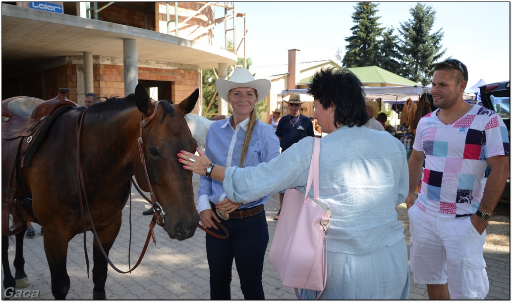 westernlovasversenykunosgaca201300133