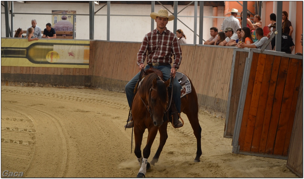 westernlovasversenykunosgaca201300143