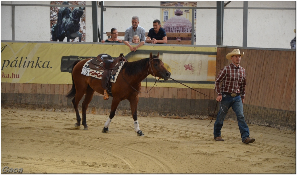 westernlovasversenykunosgaca201300173