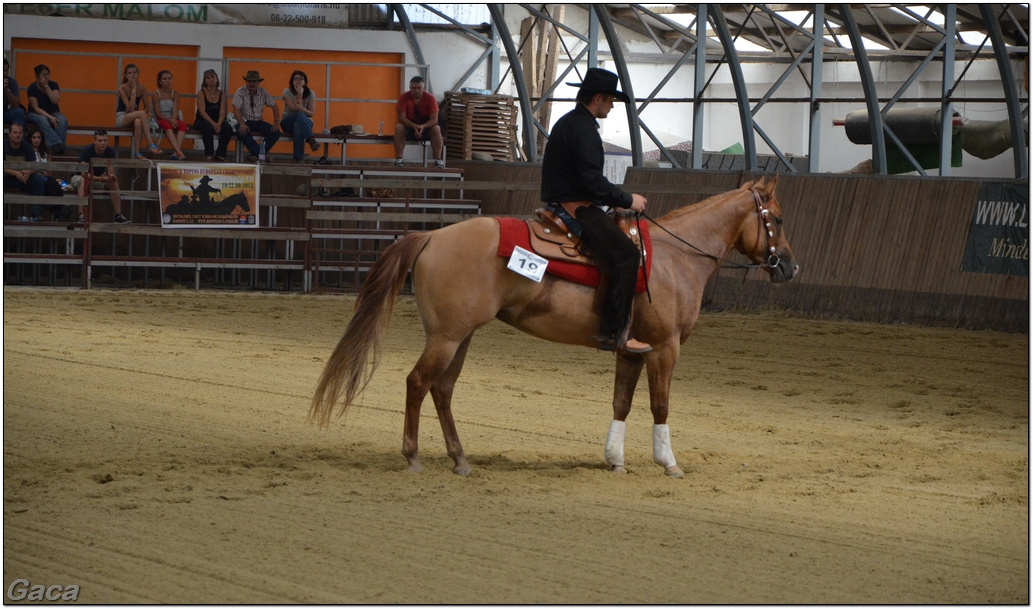 westernlovasversenykunosgaca201300233