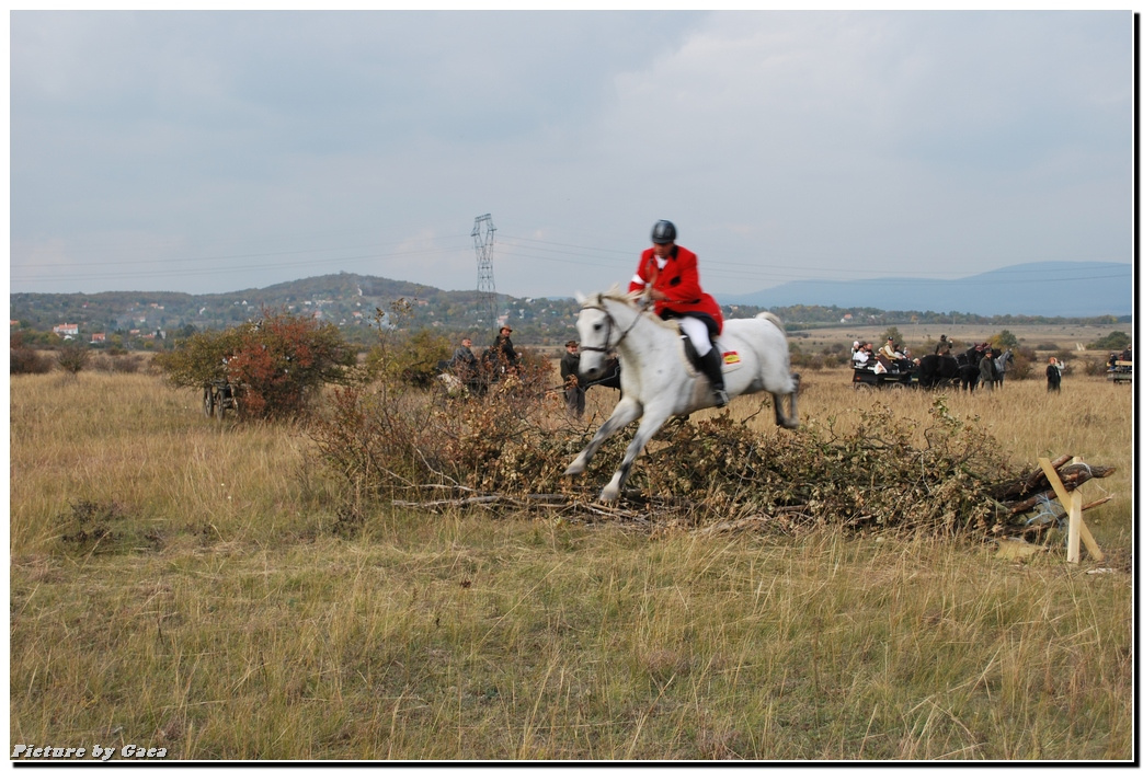 vadaszlovigaca201000158