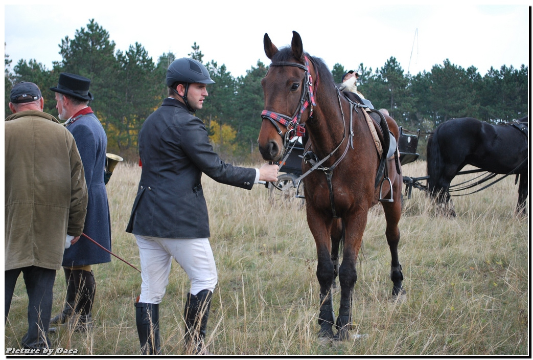 vadaszlovigaca201000211