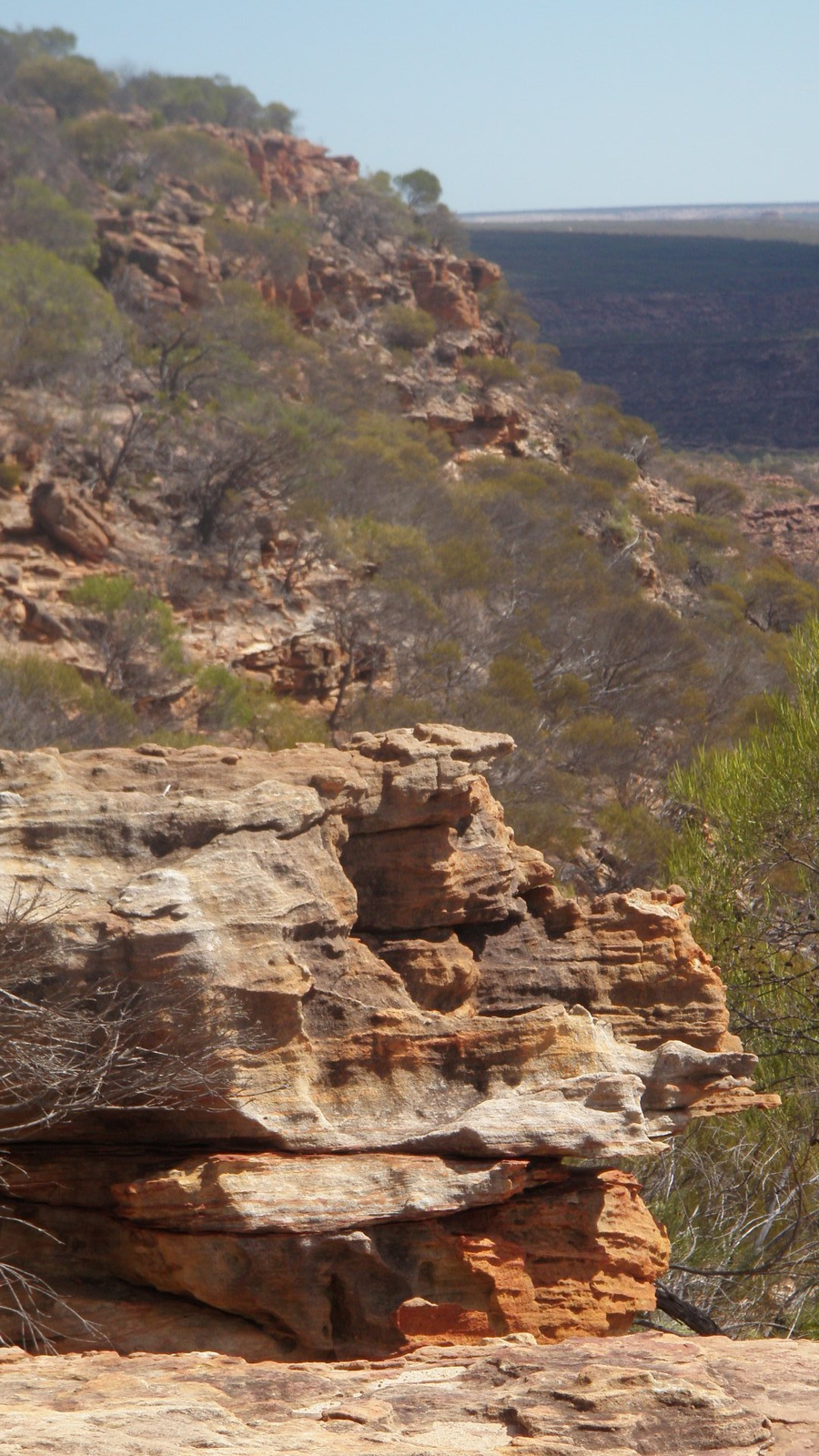 24.march.2010-Kalbarri national park (58)