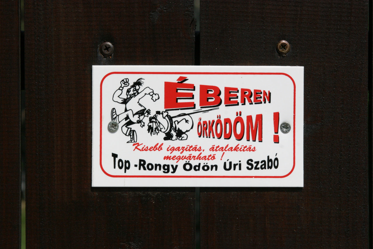 IMG 0387 Éberen őrködöm